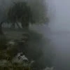 ssweurt