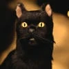 9Salem