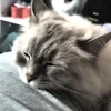 kirieshka444