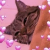 MarshmalLove