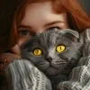 уютные миры Луны