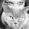 misslesstrange