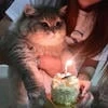 злая сутулая псина