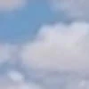 С.Е.К.С.