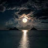 Lisa Black Moon