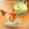 Gigi_virka