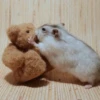 Мишка_и_Мышка