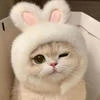reiko_tyanka_nya