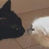 падший.ангел_Фай