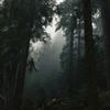 TheWorldOfMine
