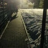 машка_21