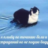 Мамамаша