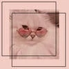 супер_котик