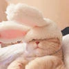 Kittyxx.xx