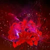 RainOfLycoris