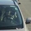 Жанна Шторм
