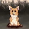 Dark corgi
