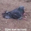 Лиза Сарафанова