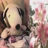 lutik_guka