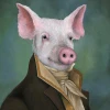 mystery_pig