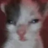 PeachyBulka