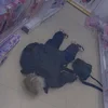 Hojipol
