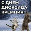 Обдолбаный нарик