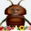 Icwwmui
