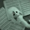 Домовой_отдыхает