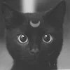 Небесная кошка