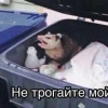 вишня с пивом