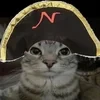 н0сик т0ни