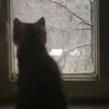 Масюня16