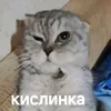 DentryxFear