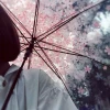 maebyhuacheng
