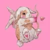 smallrabi