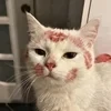 Илондрия
