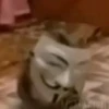 Не повезло не повезло