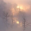 Алекс Дартмонт