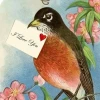 LolaRose