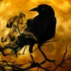 Ravenfire