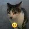 автор умер.
