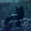 .Кунжут-Н0гк0Тик