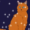 Willow_Cat