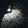 tear_of_juno