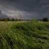 sunstedde