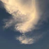 Lisichka_lime