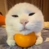Салат итальянец