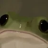 froggy-traveler
