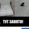ПОЧЕМУ ЗАНЕТО